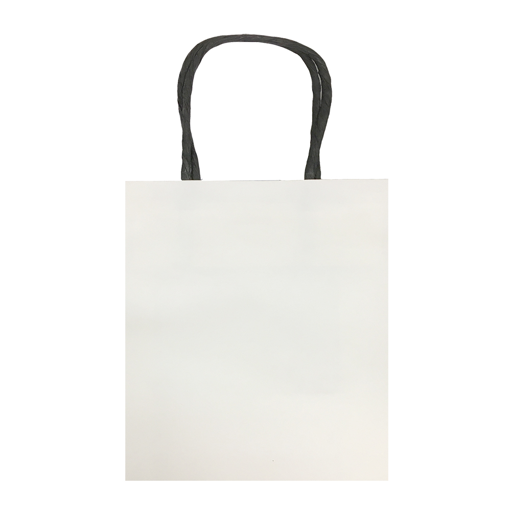 White Grocery Paper Bags Manufacturer Supplier Distributor Exporter  Vadodara Baroda Gujarat India