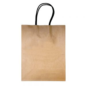 Eco-Friendly Kraft Bags | Medium Size | 50-Pack | Recyclable Paper with Twisted Handle